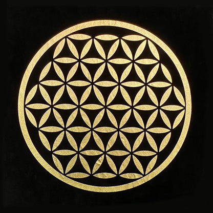 46979719135513