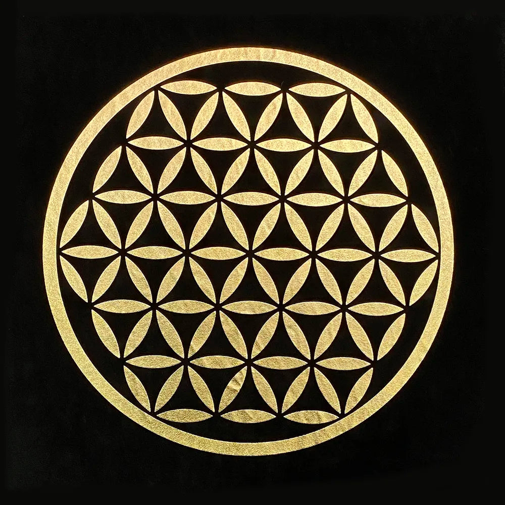 46979718775065